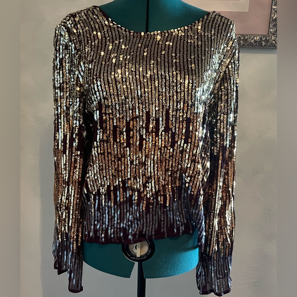 RIXO Bettina Ombré Sequin Blouse in Burgundy and Gold size XL NWT